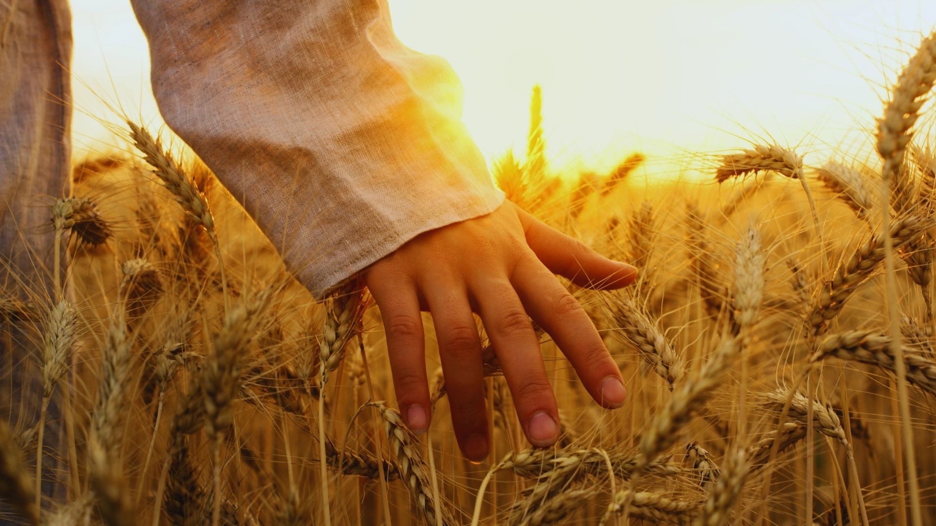 makar sankranti, makar sankranti in india, makar sankranti in north india, 5 harvest festivals in india, harvest festival,