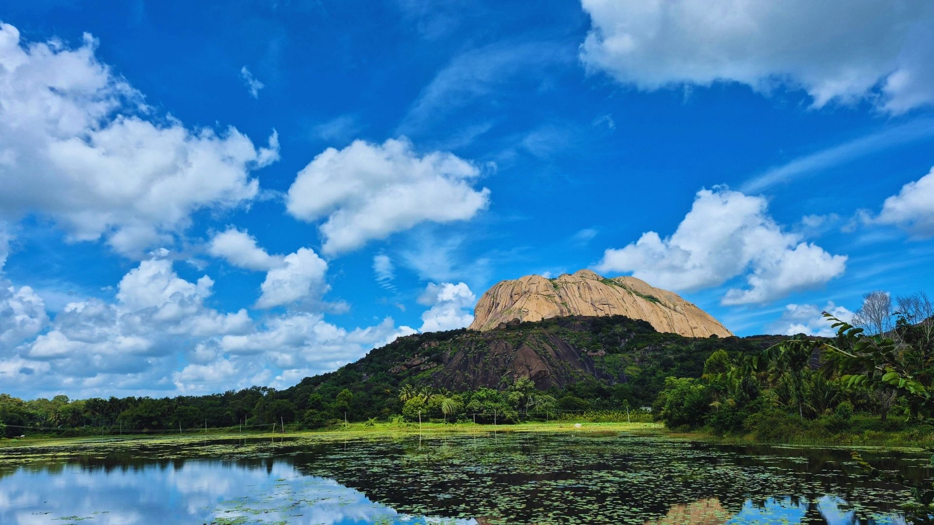 7 Best Honeymoon Destinations in South India