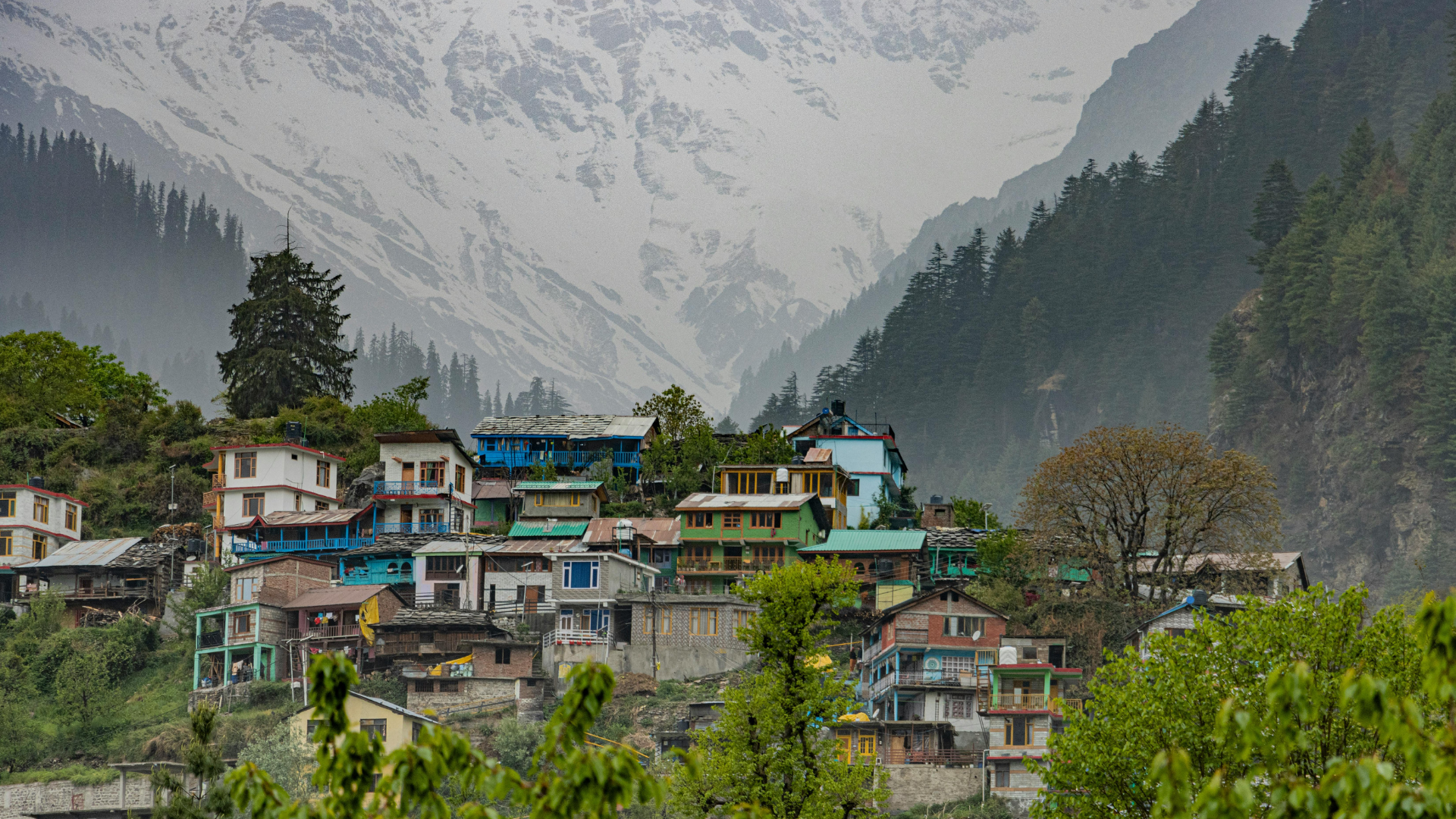 Manali Beautiful Nature
