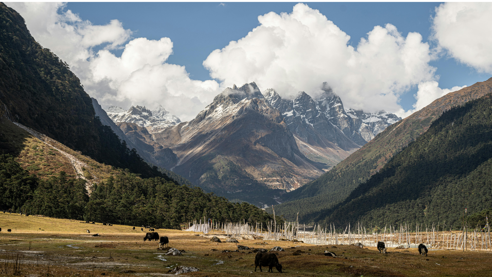 Top 10 North East Honeymoon Places in India, Ravangla Sikkim