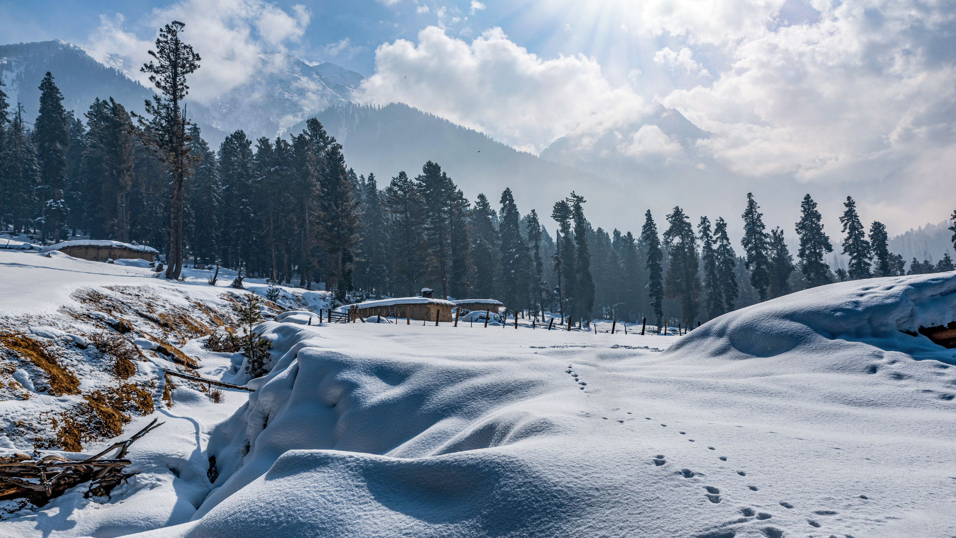 Kashmir