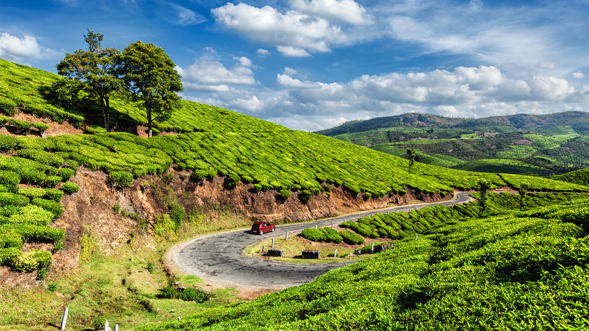 Munnar