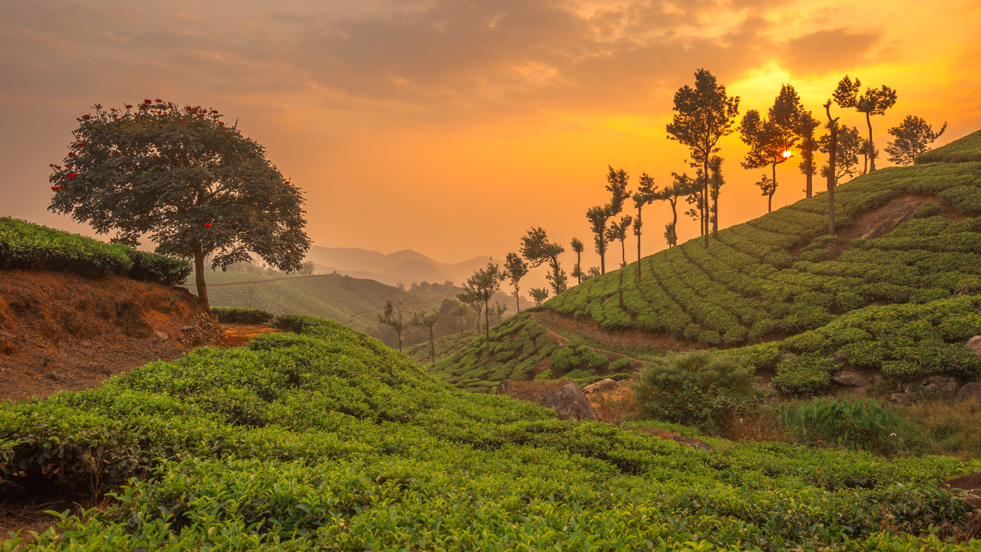 Munnar