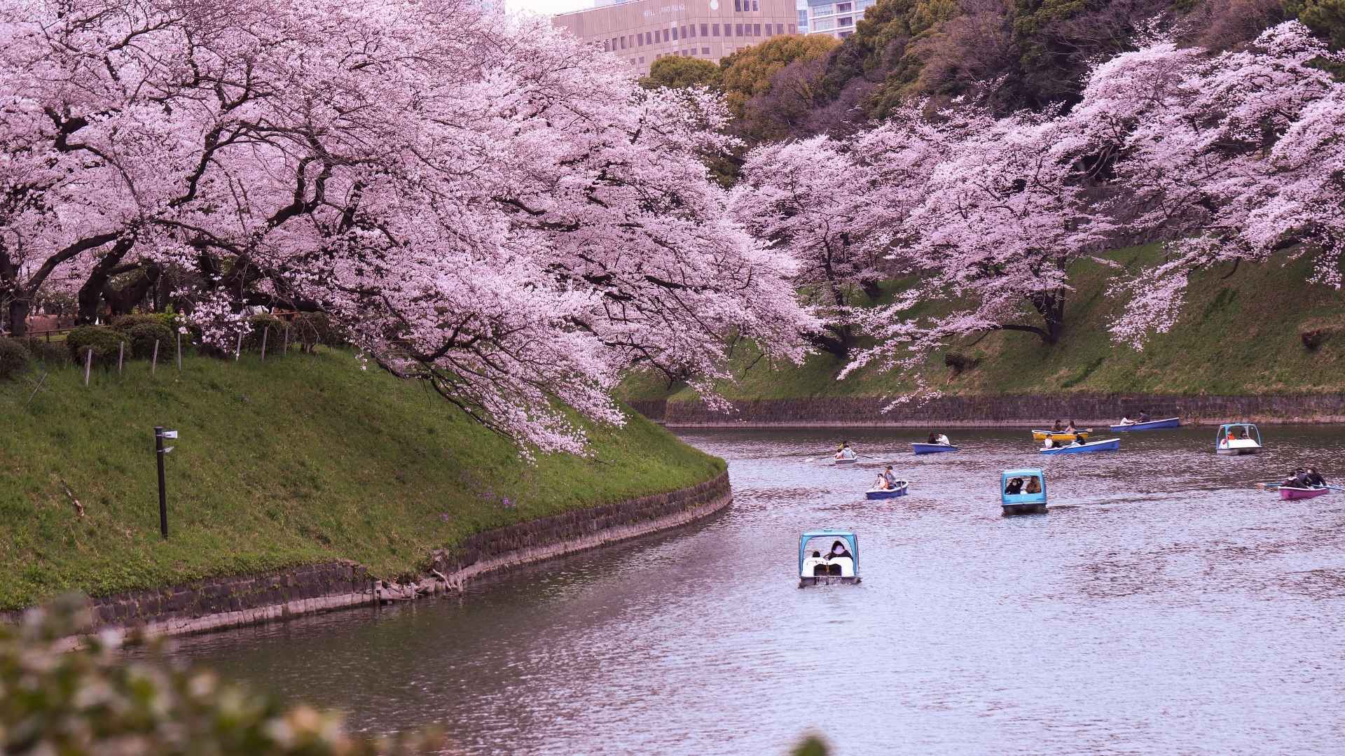 7- Day Japan Itinerary
