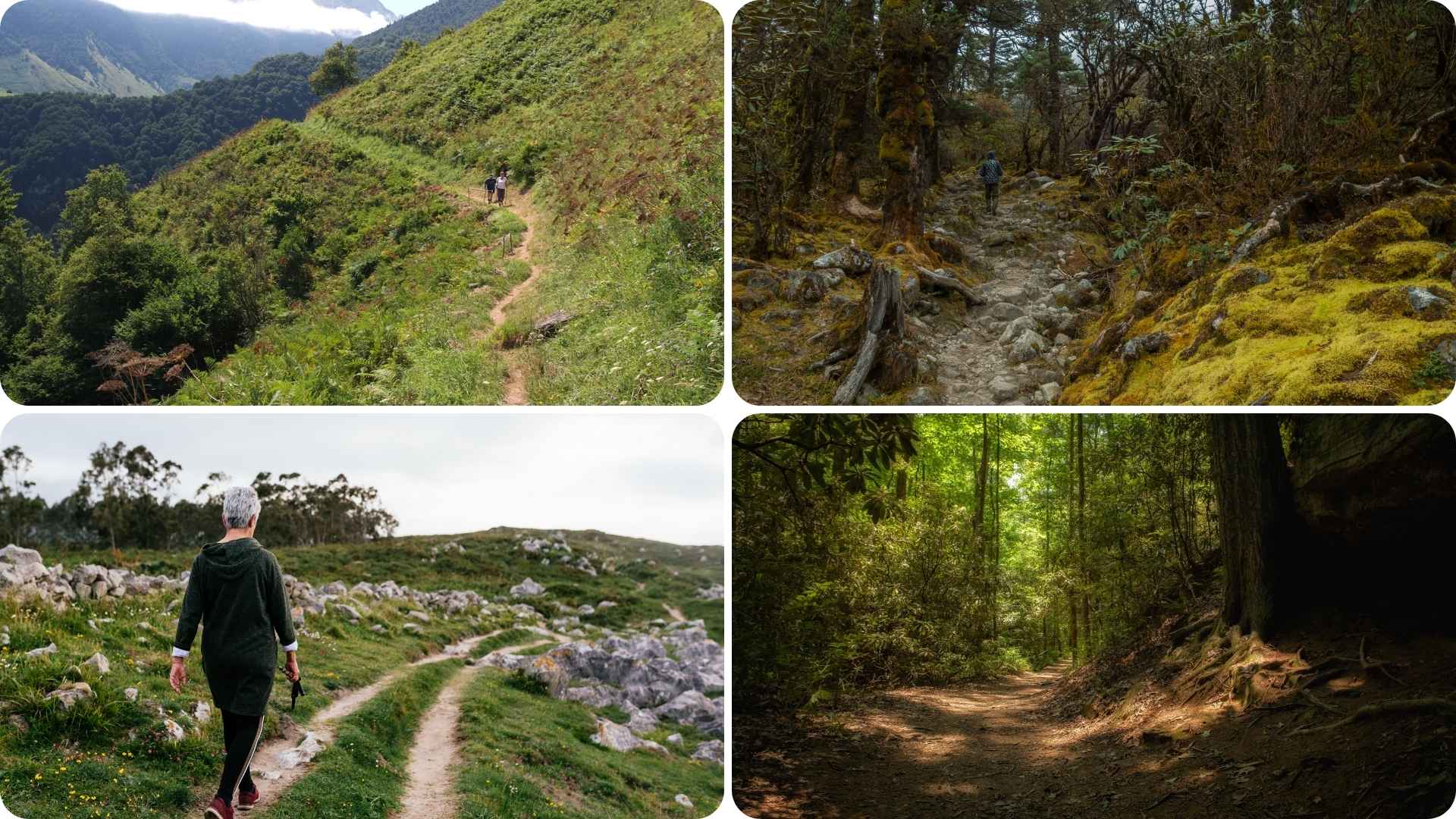 Adventure Activities around Darjeeling