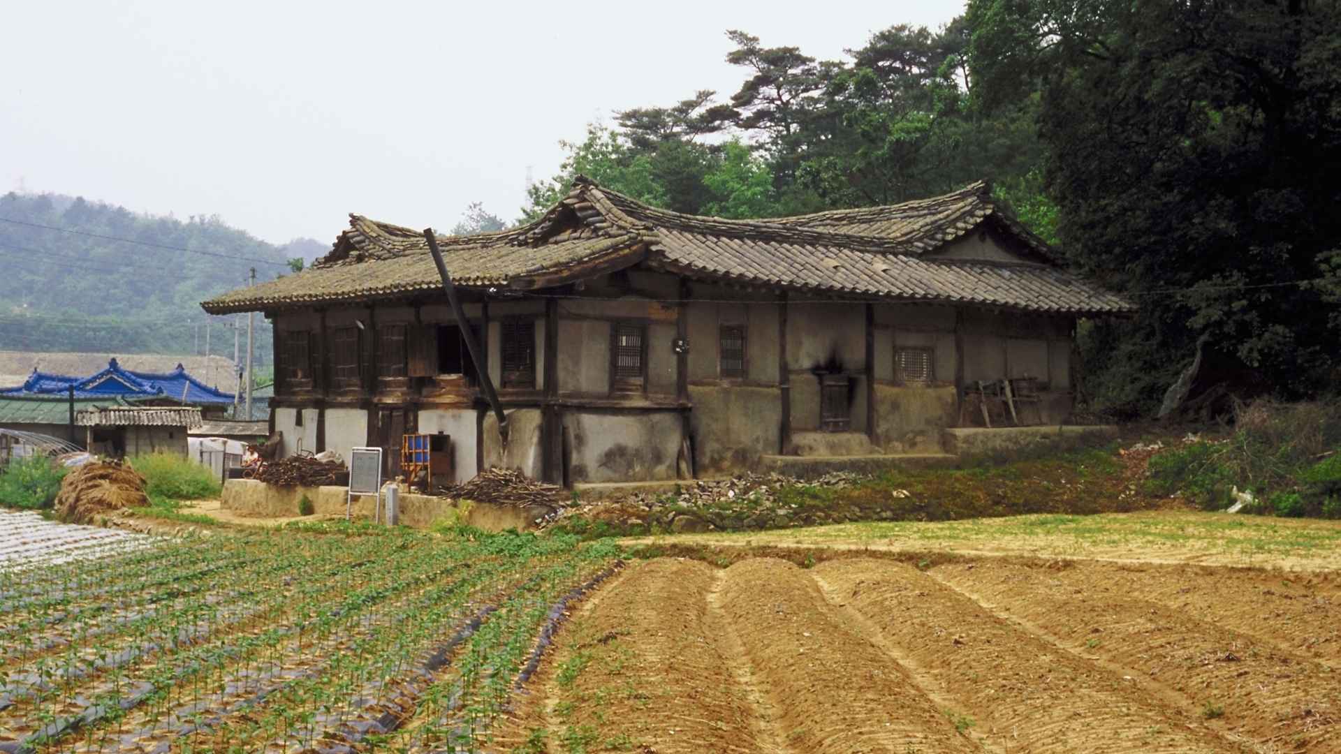 Andong