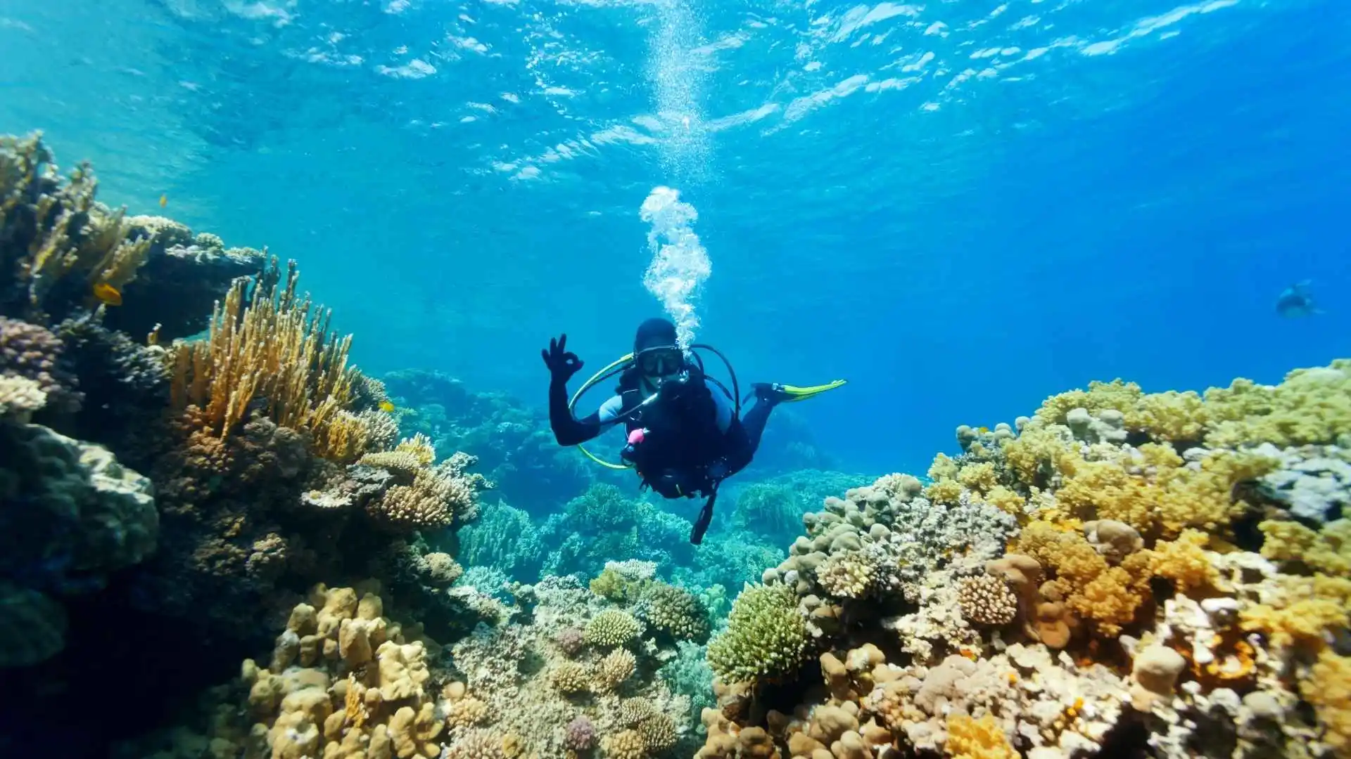 Best Adventure Activities in Greece