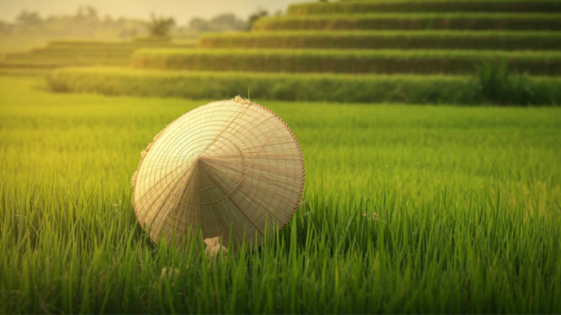 Vietnam itinerary for 7 days, Best Time for Vietnam 7-Day Itinerary