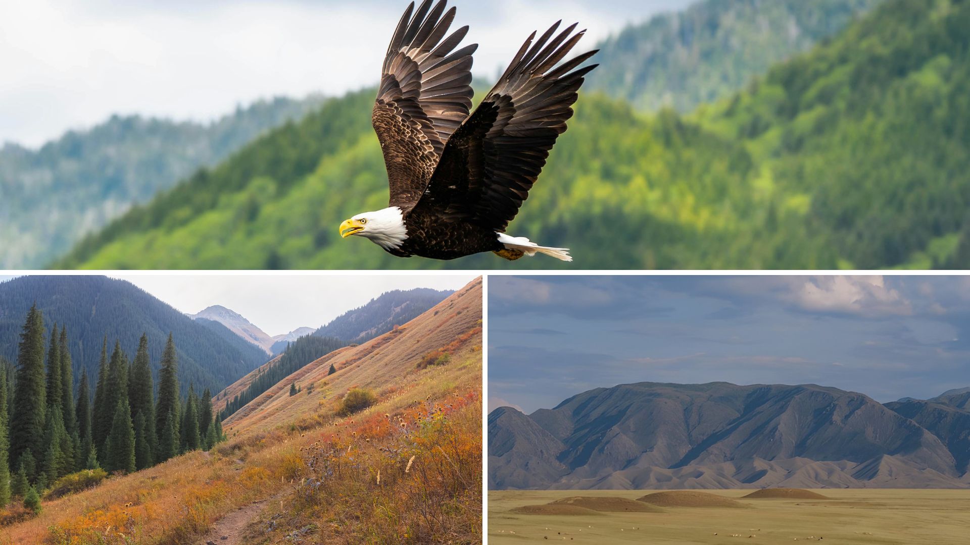 Best Time to Visit Kazakhstan for Wildlife & Nature Lovers