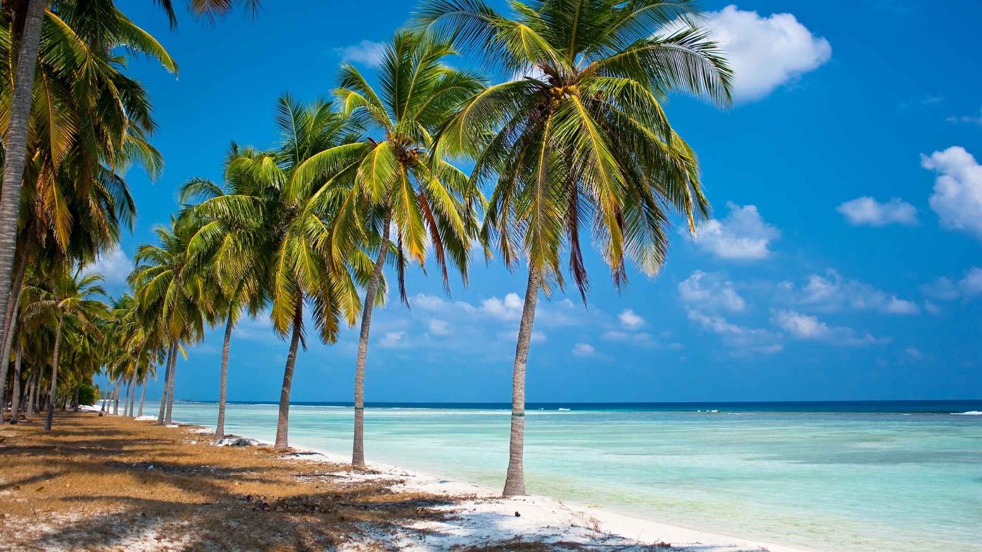 Best time to visit Lakshadweep