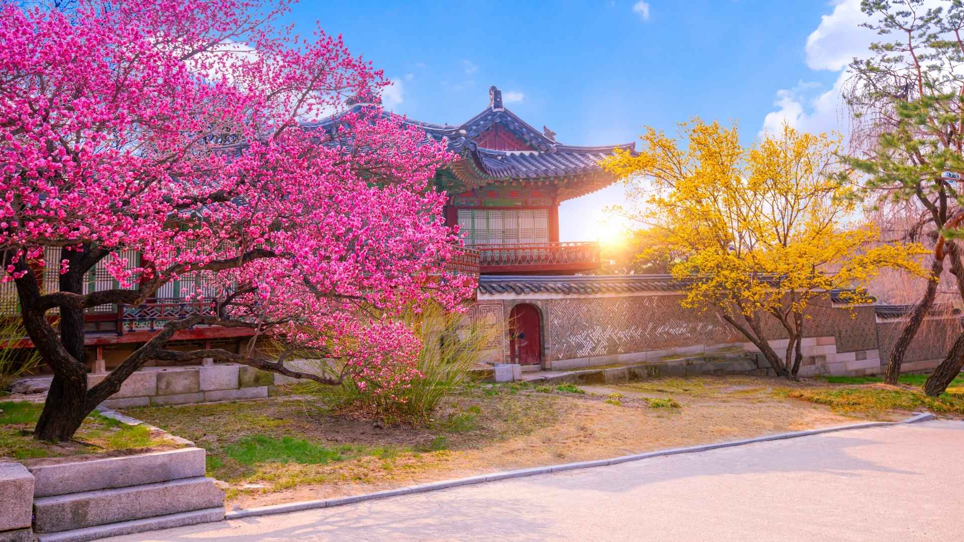Best Time to Visit South Korea