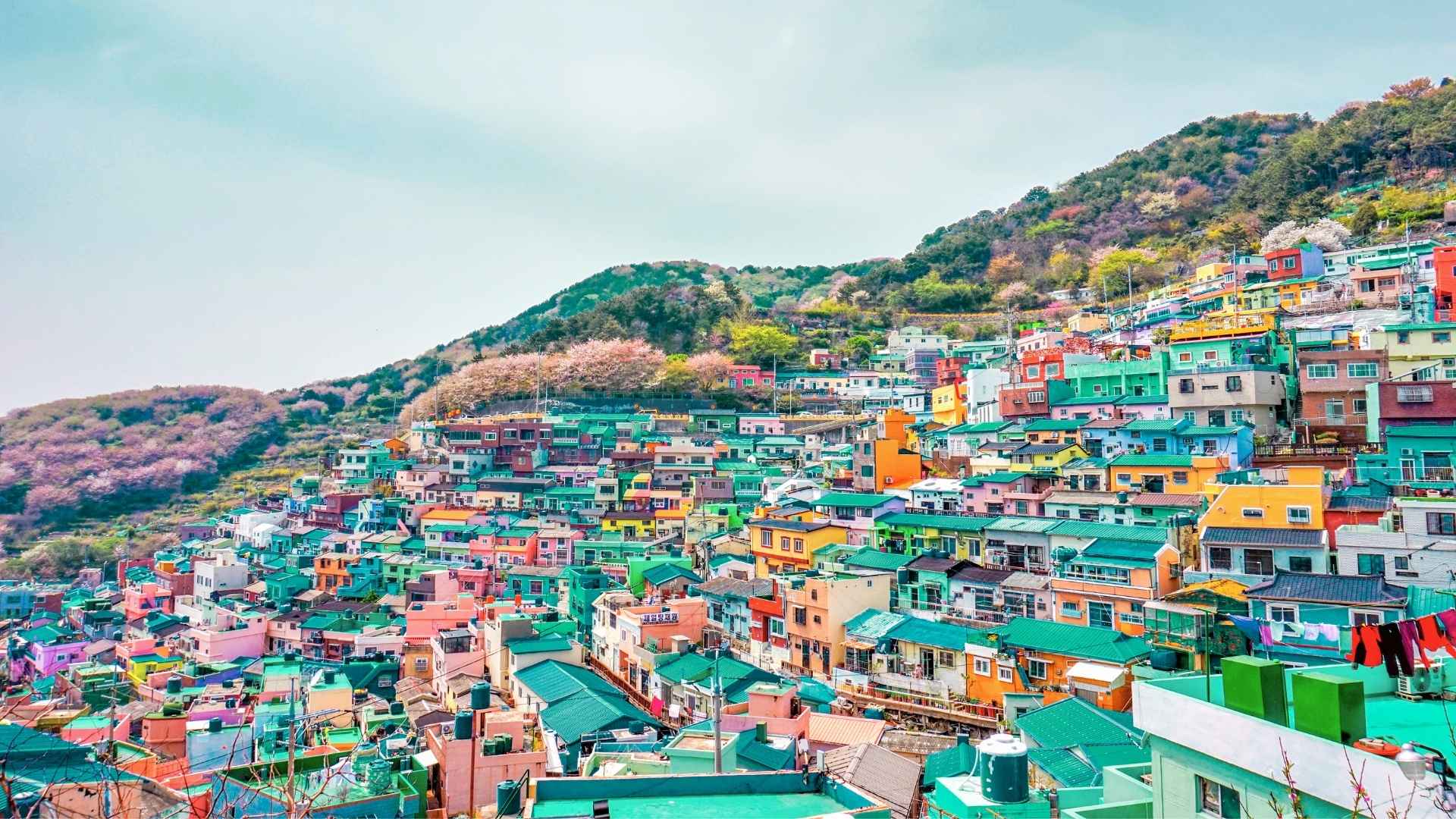 Busan
