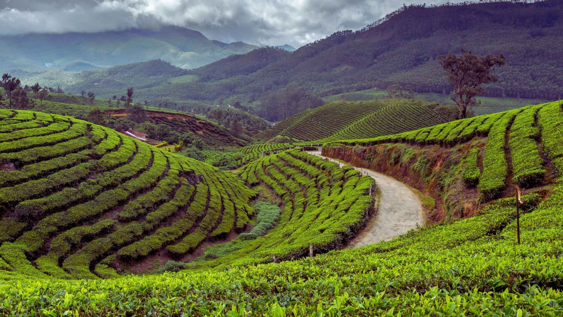 Darjeeling, best season for Darjeeling, places to visit in Darjeeling during Winters