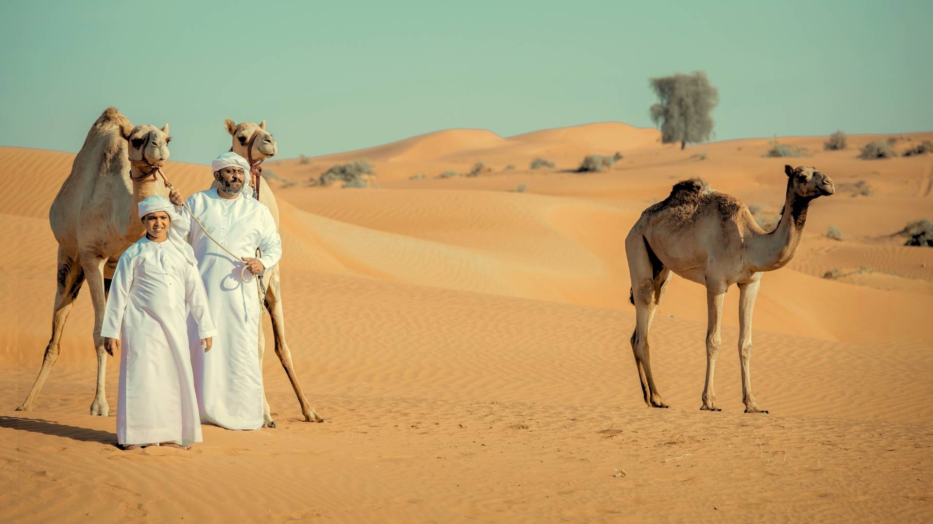 Abu Dhabi Itinerary For 5 Days, Desert Safari – A Different Side of Abu Dhabi