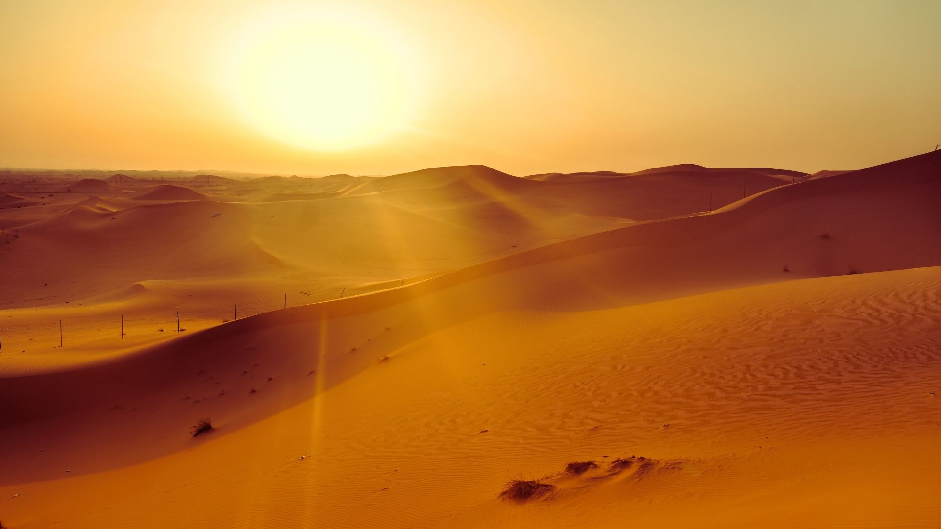 Abu Dhabi Itinerary For 5 Days, Slow Morning