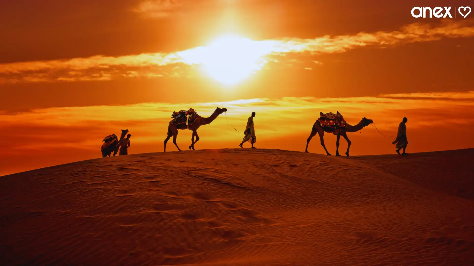 Desert Safari