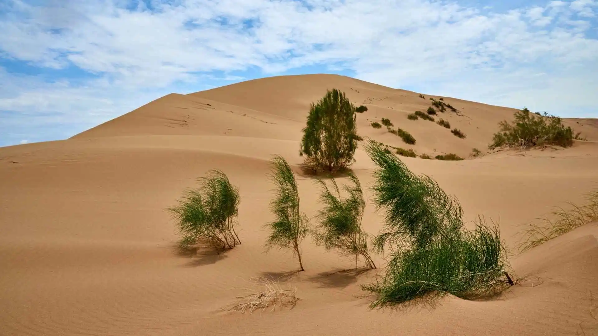 Discover the Singing Dune of Altyn Emel