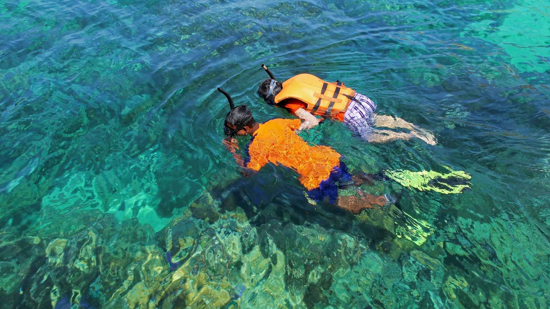 Dive or snorkel in the Red Sea