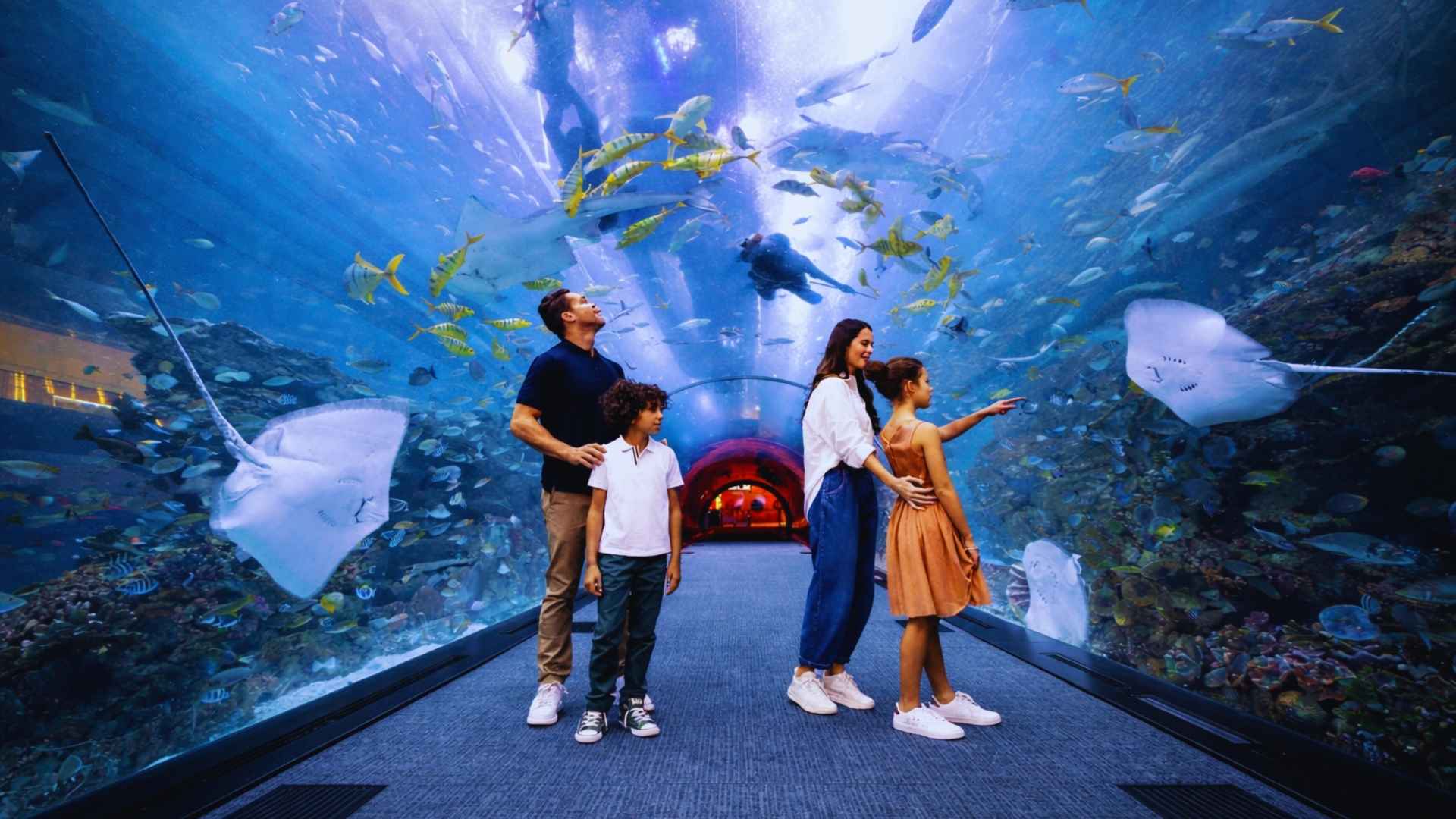 Dubai Aquarium & Underwater Zoo