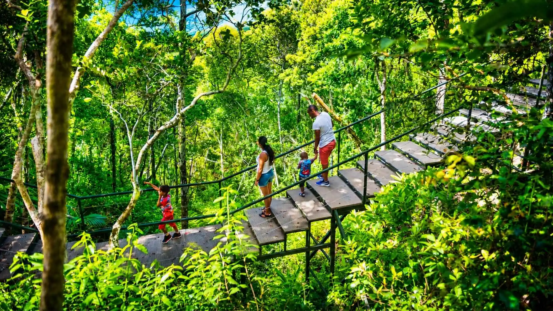 Ebony Forest Reserve