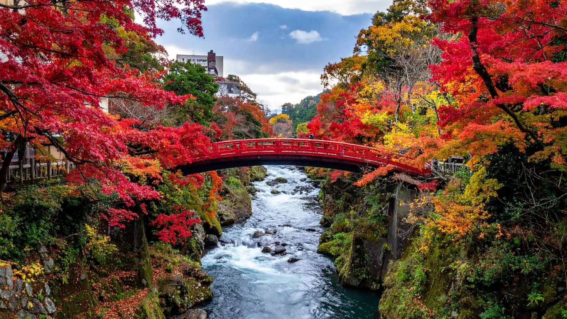 Enjoy Autumn Foliage Viewing