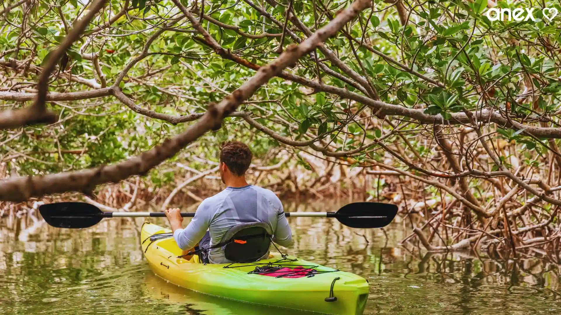 Enjoying Kayaking or Cycling
