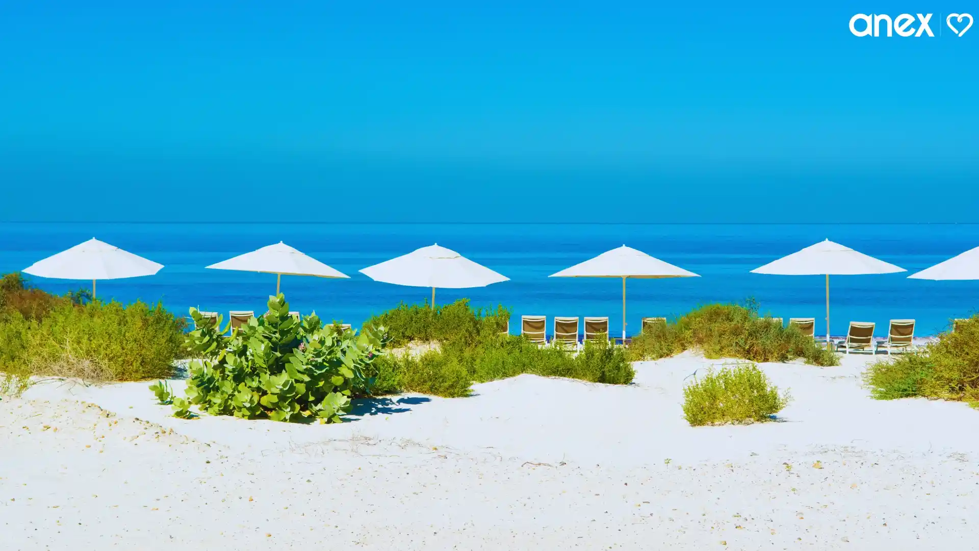 Corniche and Saadiyat Beaches