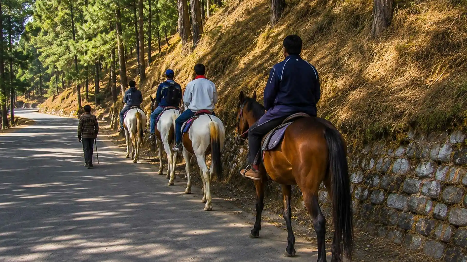 Go Horse Riding