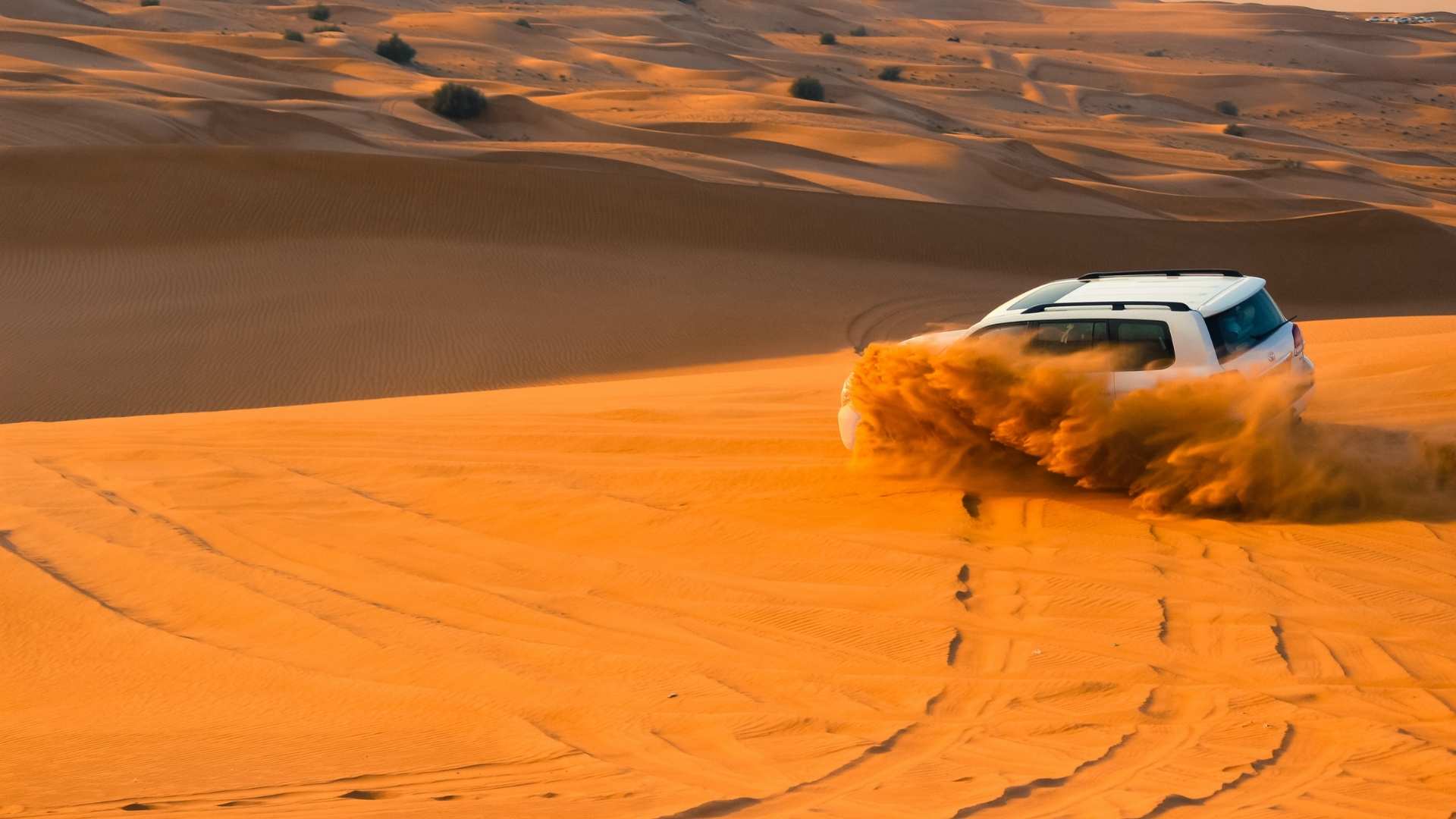 Go on a Desert Safari