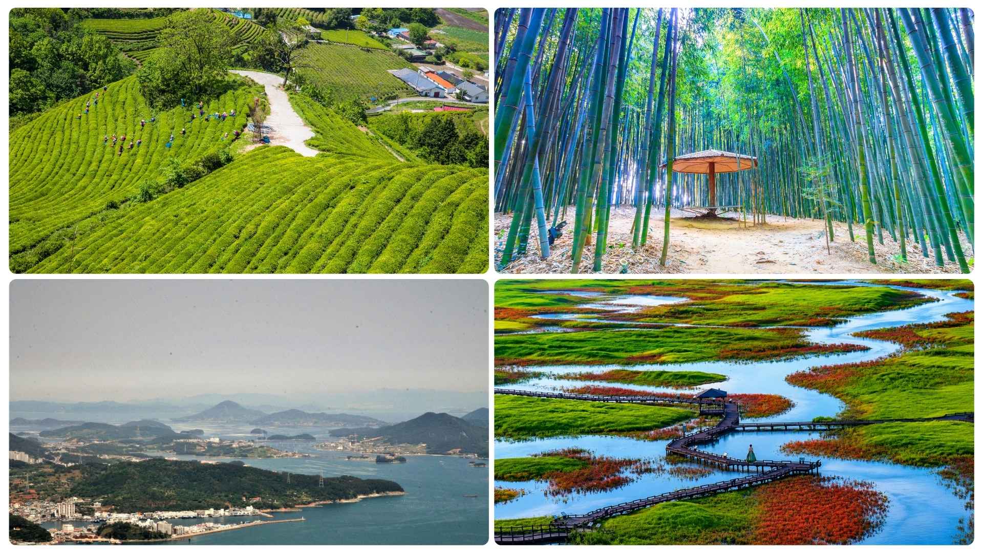 Hidden Gems and Offbeat Places in South Korea