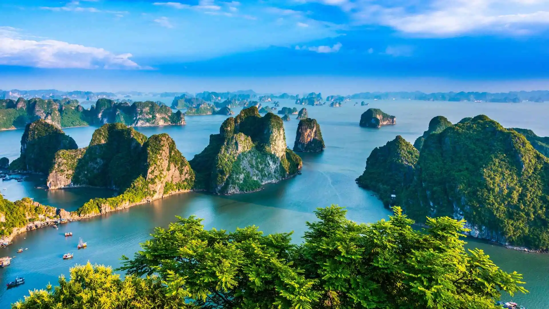 Ha Long Bay