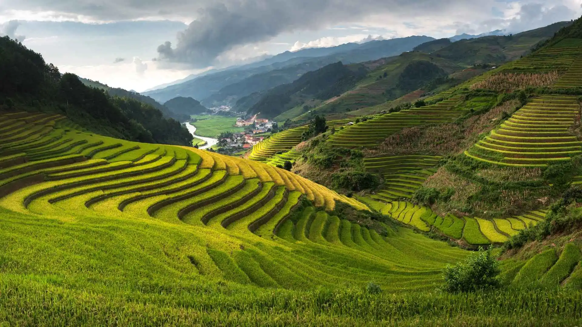 Sapa