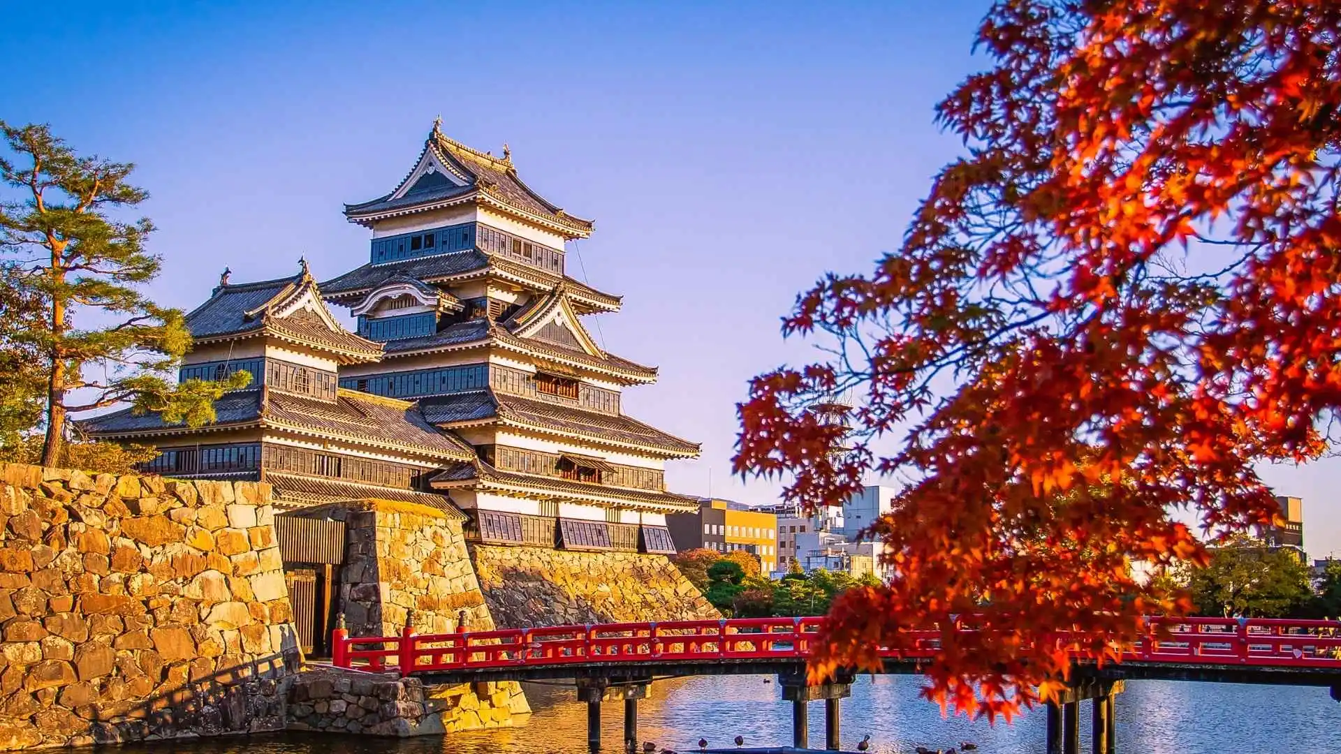 Customize Japan Itinerary