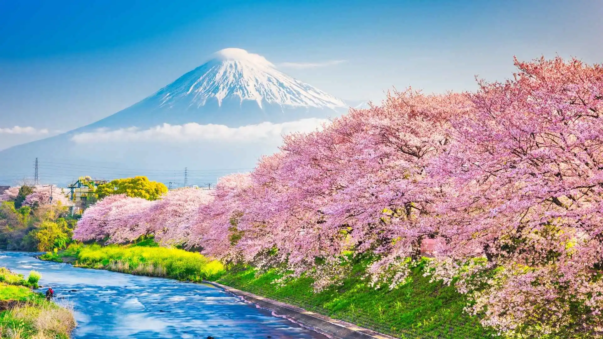 Spring Season in Japan, Best Time to Visit Japan during Spring Season, Spring in Japan