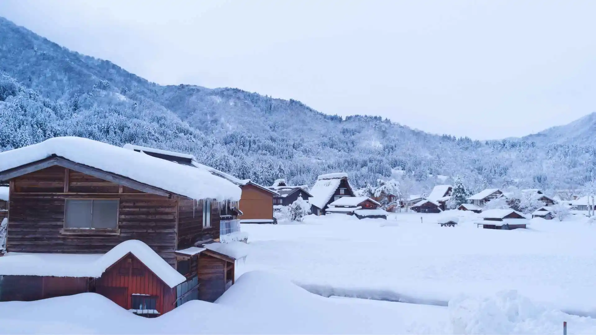 Winter Season in Japan, Best Time to Visit Japan during Winter Season, Winter in Japan