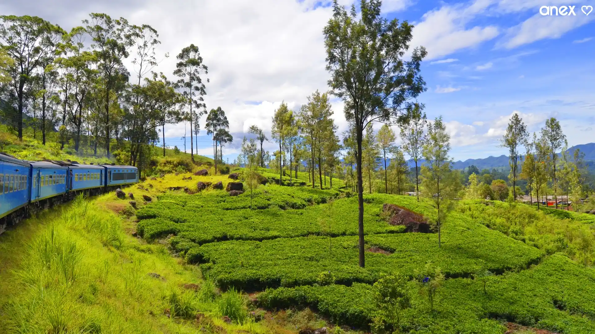 Kandy to Nuwara Eliya