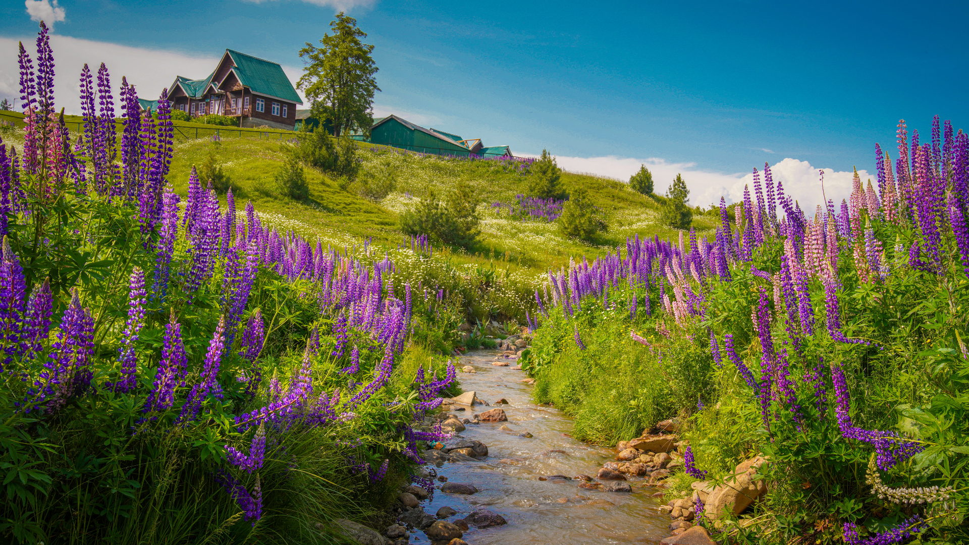 Top 5 Most Romantic Places in India, romantic places in india, best couple destinations in india, best place for couple in india, romantic place for honeymoon, Kashmir Valley