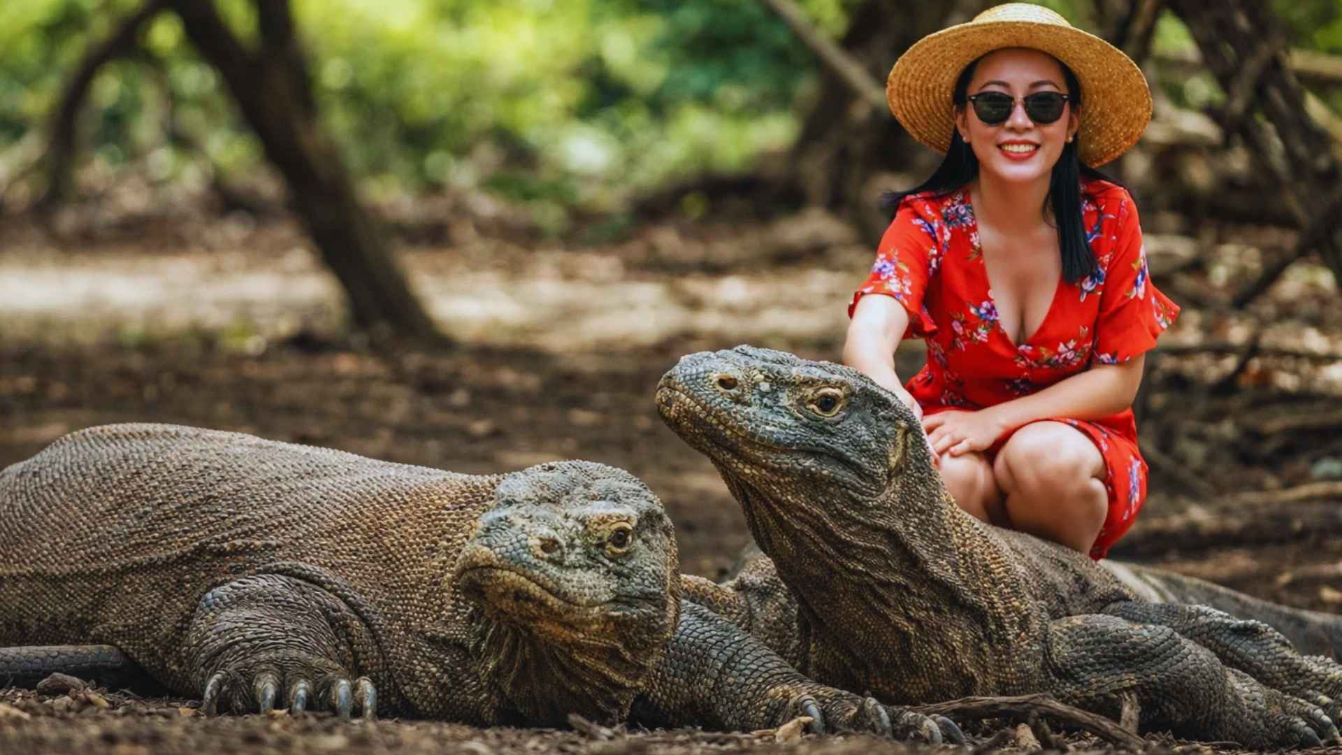 Komodo National Park, Indonesia Travel Guide, best places to visit in Indonesia, Places to Visit in Indonesia with Family, Hidden Gems in Indonesia, Indonesia Travel Tips, Solo Trip to Indonesia