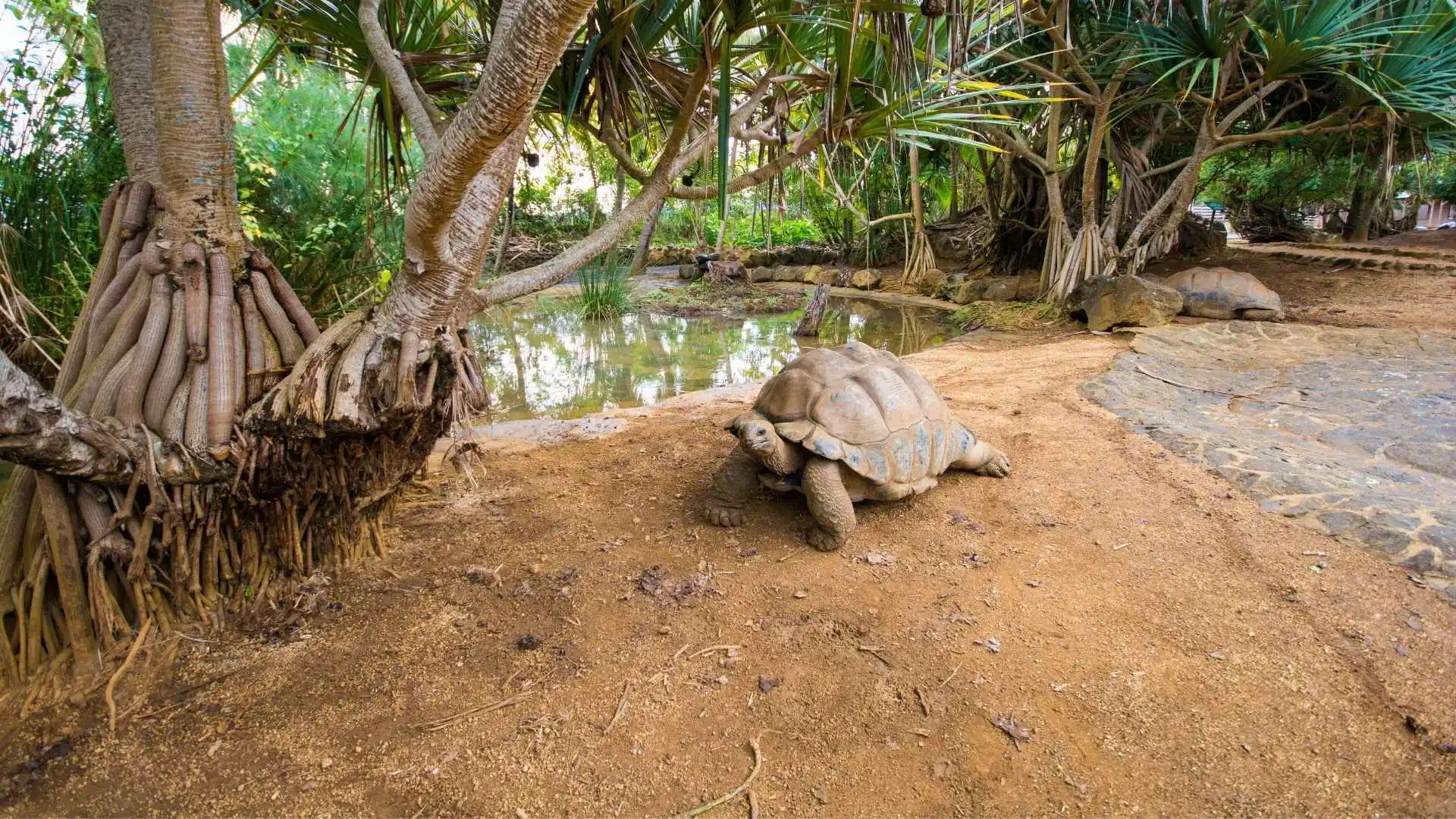 La Vanille Nature Park