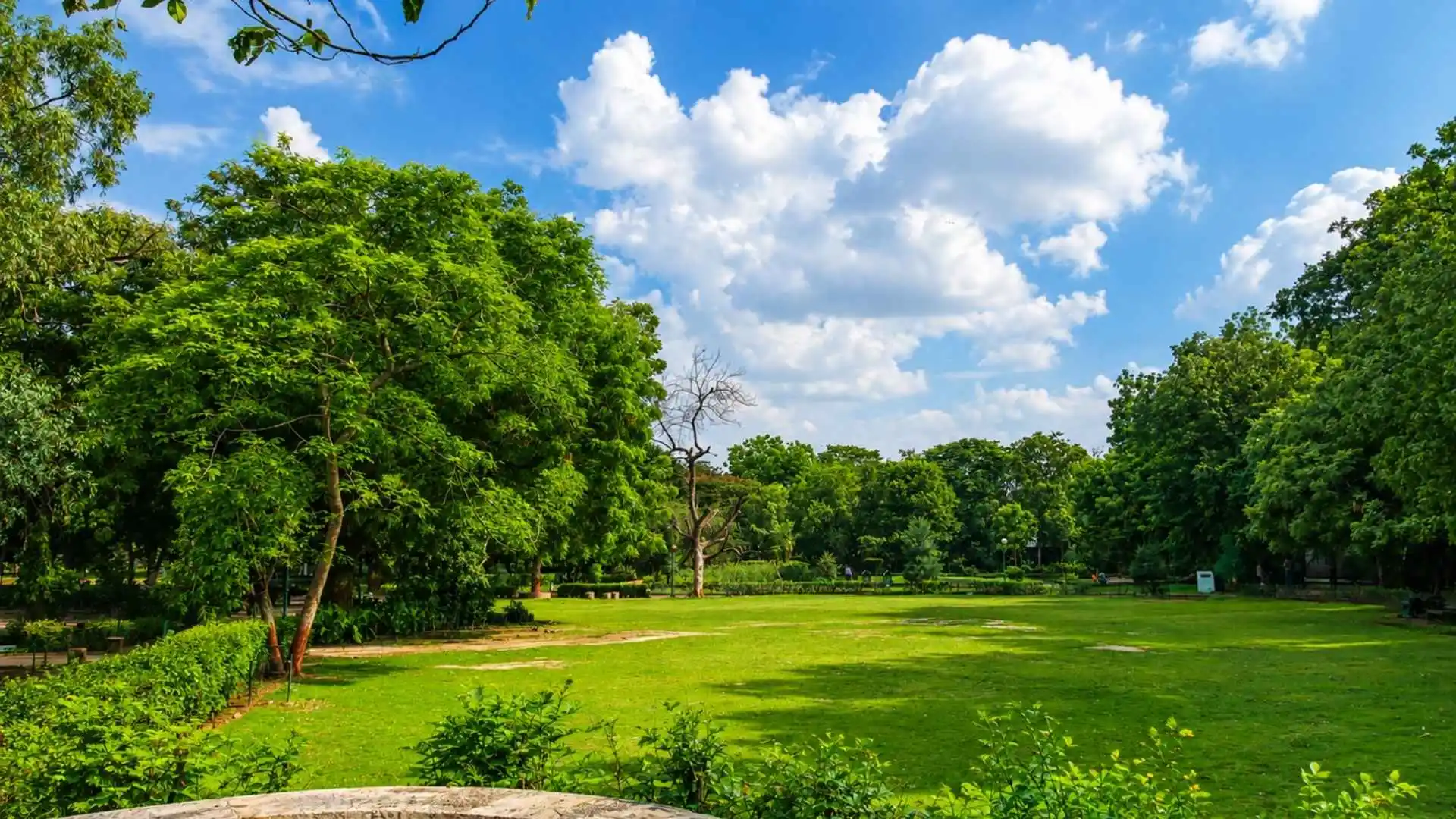 Law Garden