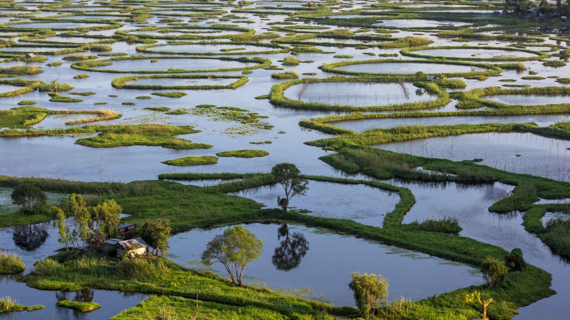 Loktak Lake, lakes in Moirang, lakes in Manipur, famous lakes in India, beautiful lakes in India