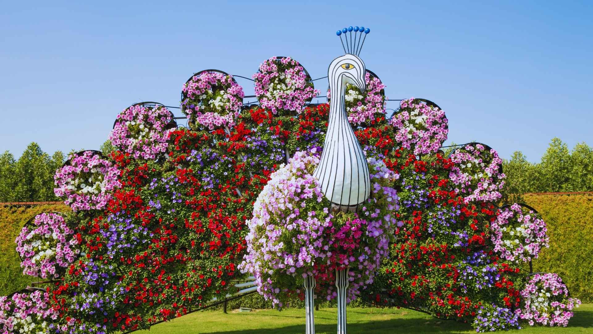 Miracle Garden