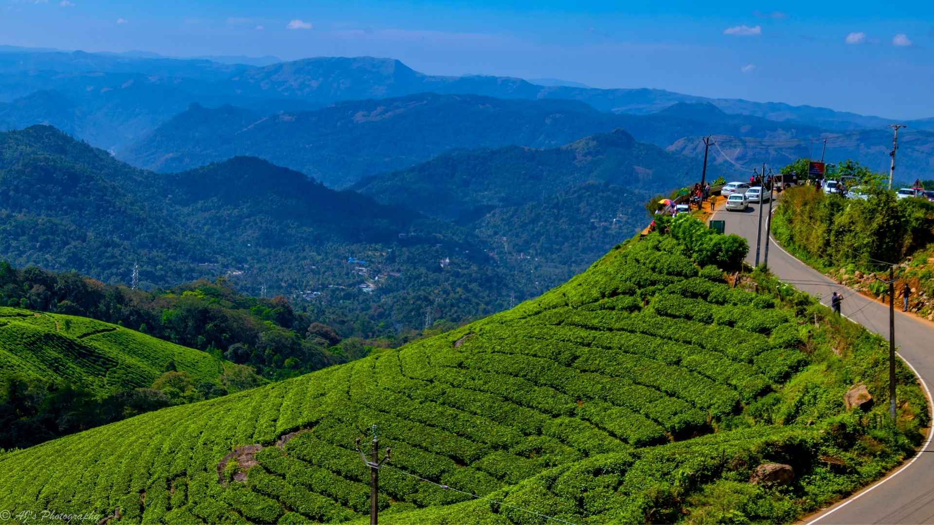 Top 15 Places to Visit in June in India, Best Places to Visit in June in India, Munnar, Kerala