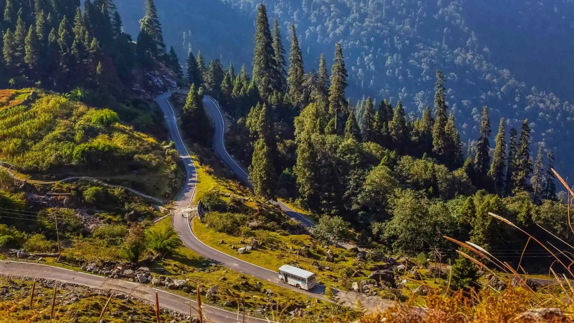 Top 15 Places to Visit in June in India, Best Places to Visit in June in India, Munsiyari, Uttarakhand