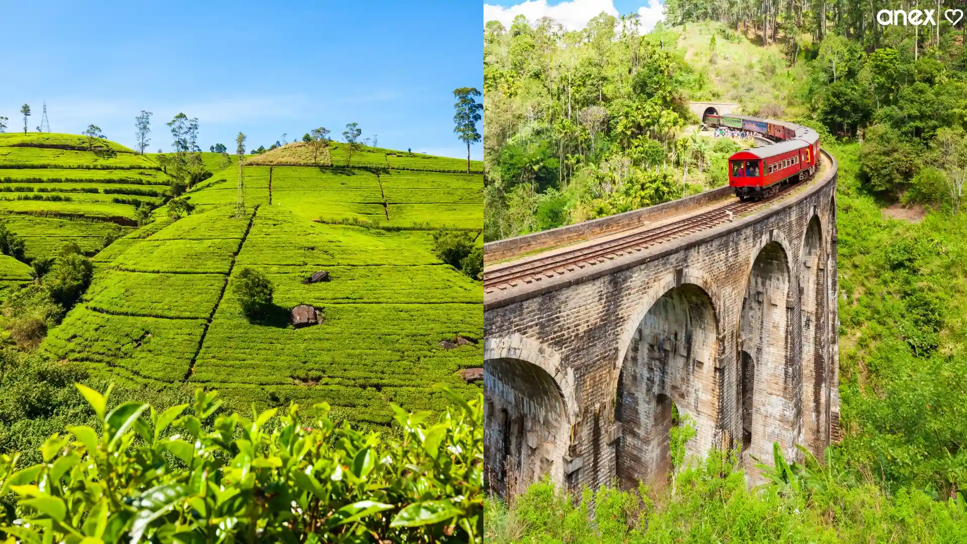 Nuwara Eliya to Ella