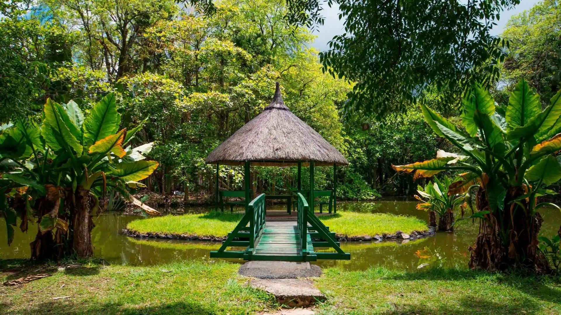 Pamplemousses Botanical Garden