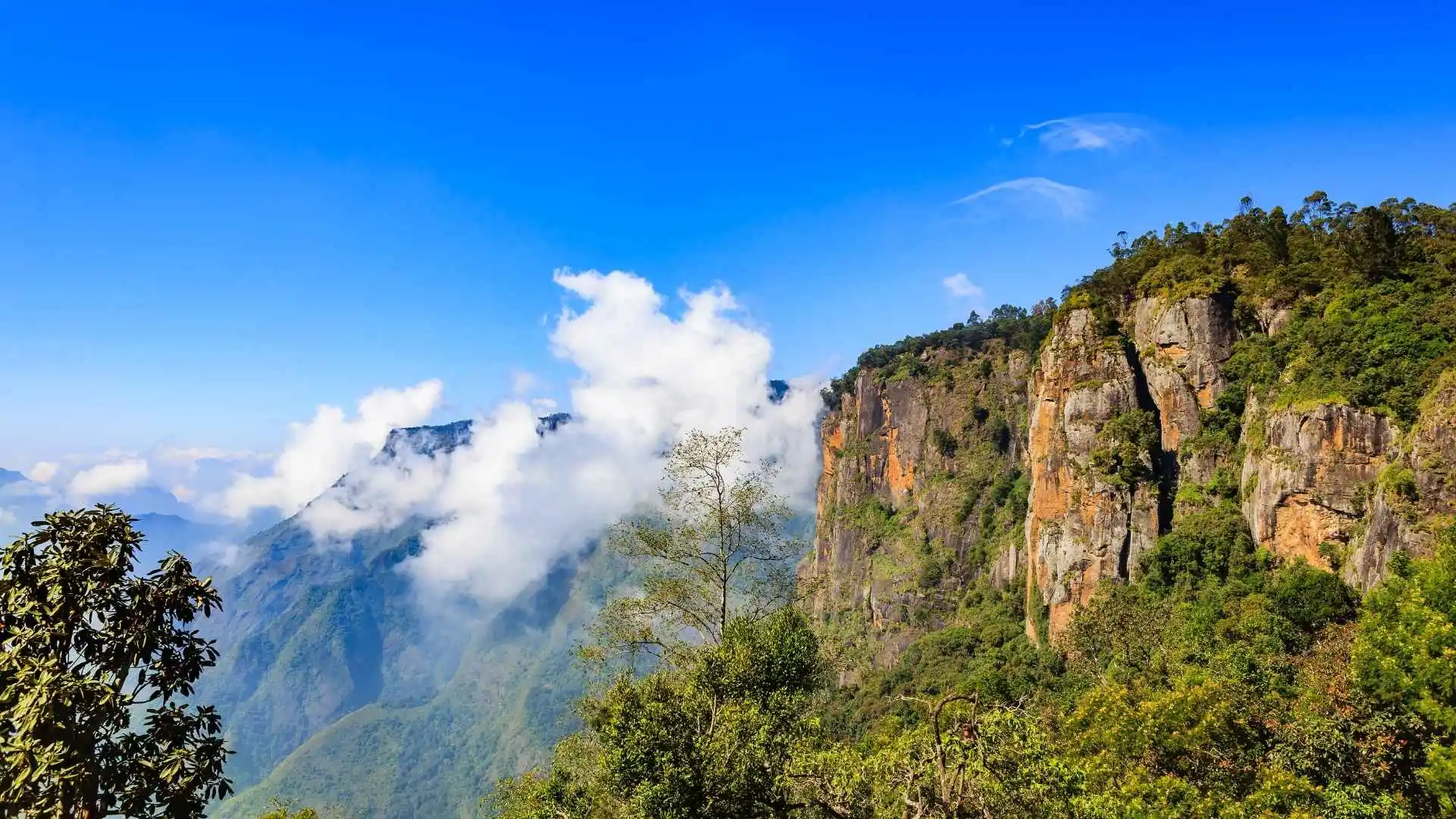 Pillar Rocks in Kodaikanal