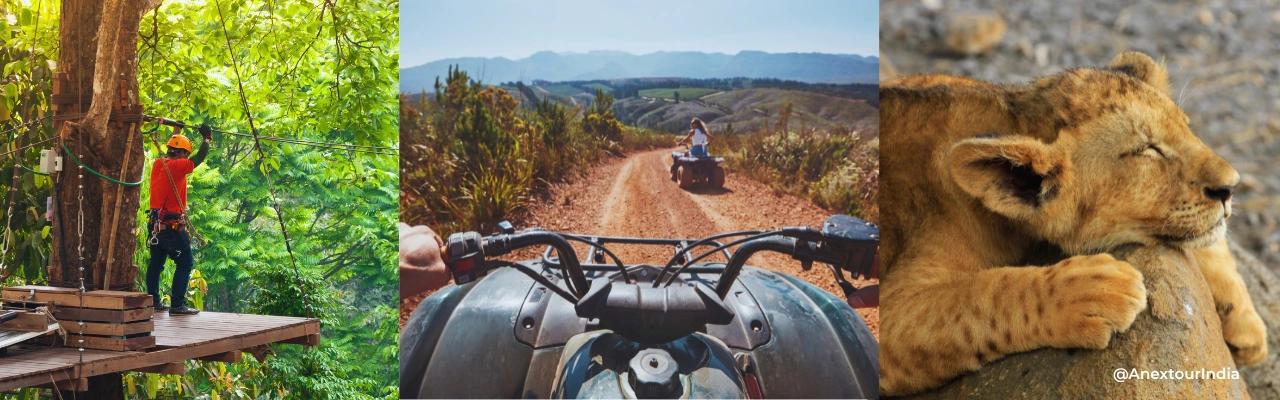 Quad Biking