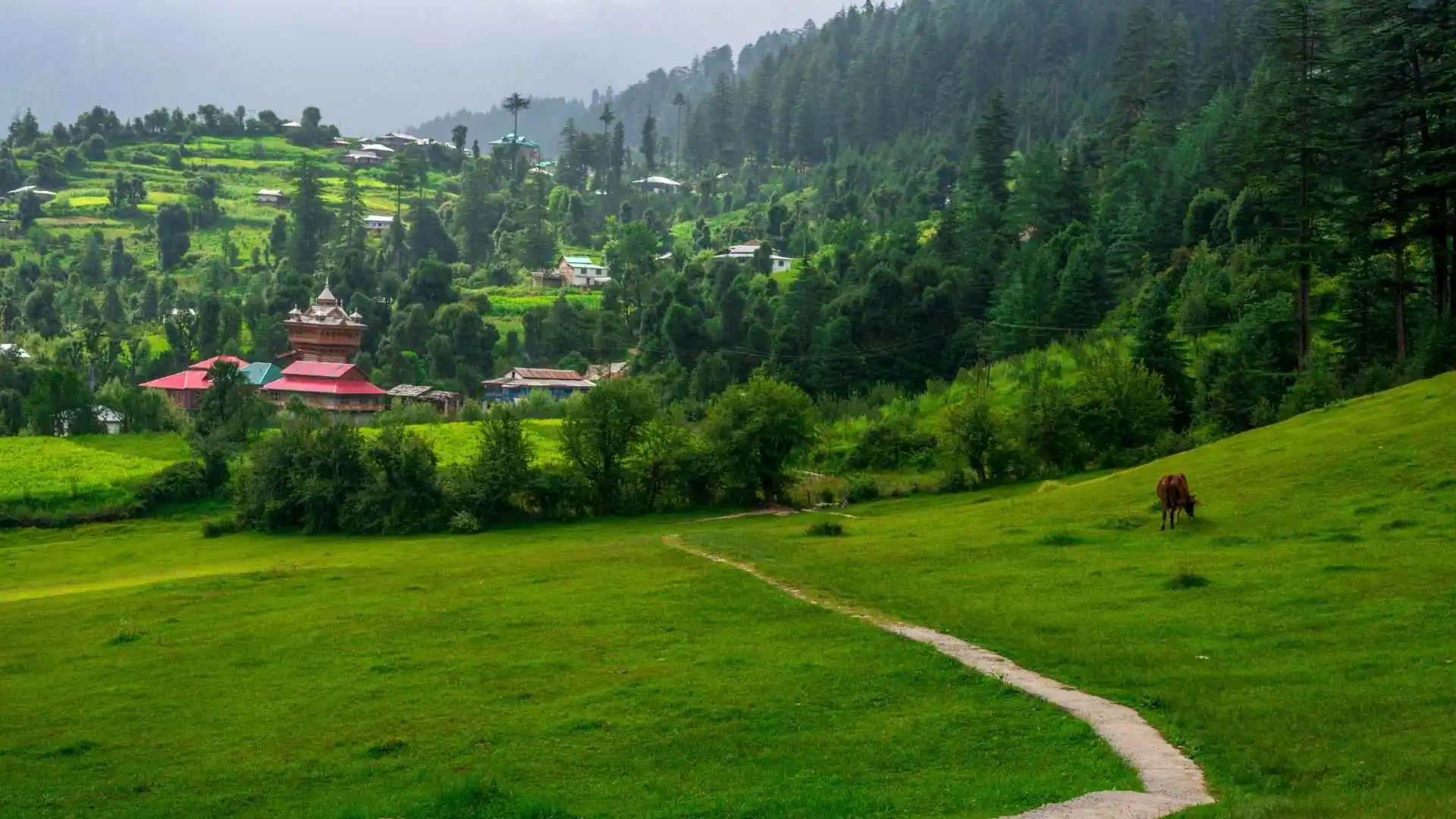 Top 15 Places to Visit in June in India, Best Places to Visit in June in India, Sainj Valley, Himachal Pradesh