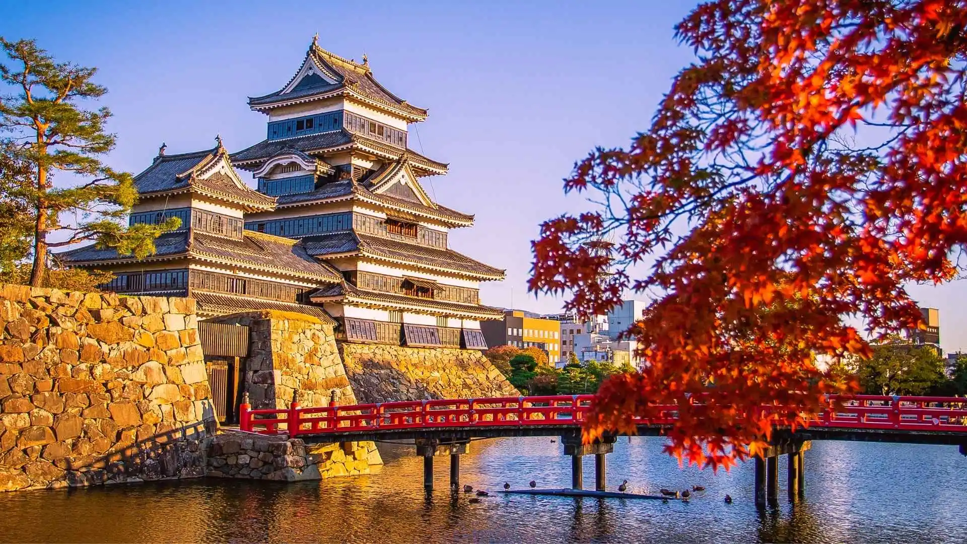 Sightseeing and Attraction costs in Japan
